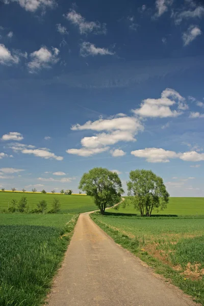 Peisaj Drum Murdărie — Fotografie, imagine de stoc