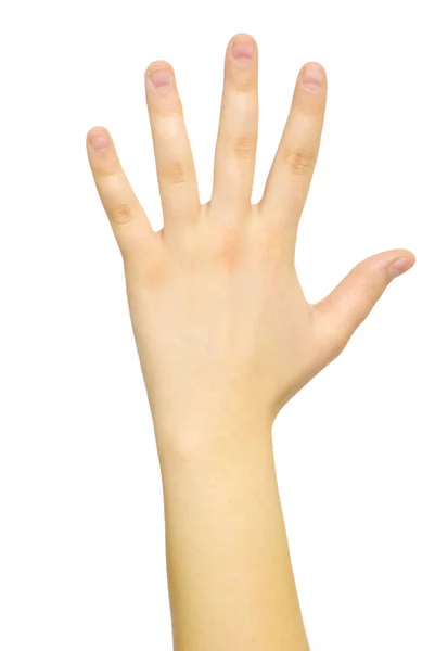 Hand Geïsoleerd Een Witte — Stockfoto