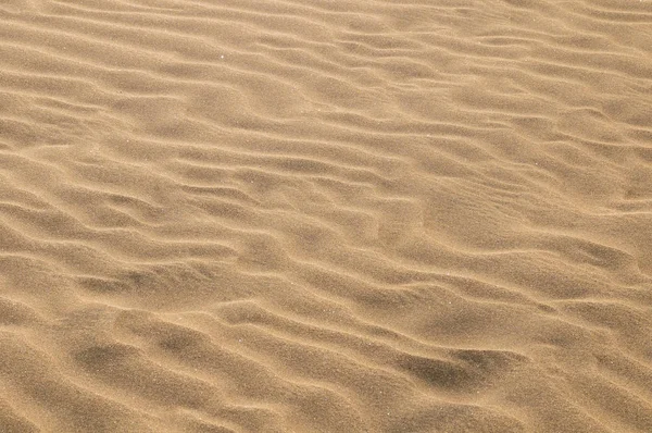 Textura Desierto Dunas Arena Gran Canaria —  Fotos de Stock