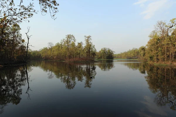 Parque Nacional Chitwan Nepal — Fotografia de Stock