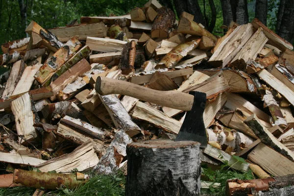 Hacha Fondo Una Pila Madera Bosque Verde —  Fotos de Stock