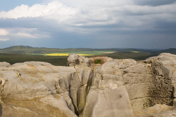 Руїни Регентського Замку Колкенбург Харзі — стокове фото