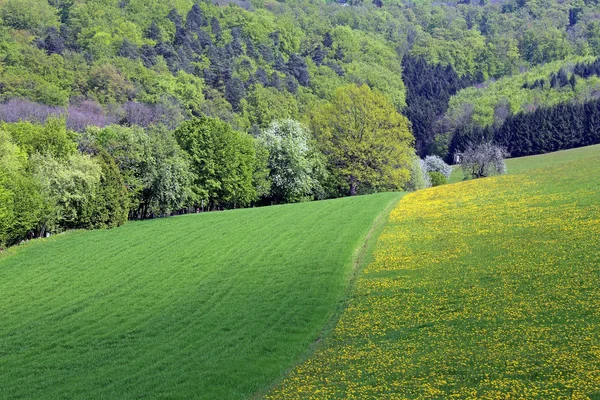 Grenzziehung Grünland — Stockfoto