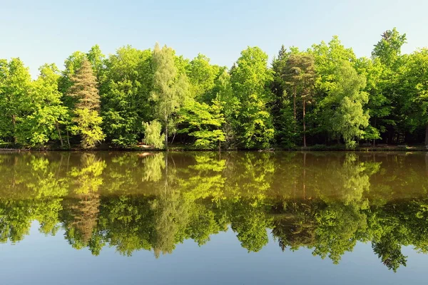 Réflexion Sur Lac Ours Près Stuttgart — Photo