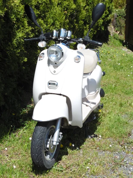 Uma Scooter Parque — Fotografia de Stock