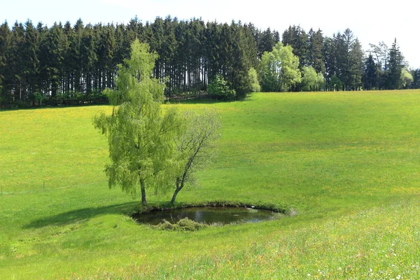 Prachtig Uitzicht Natuur — Stockfoto