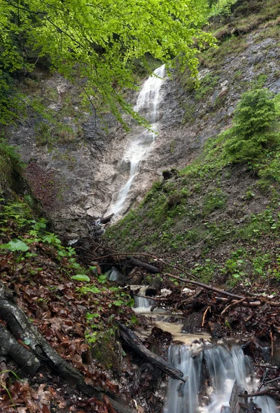 Flödesvatten Österrikiska Bergen — Stockfoto