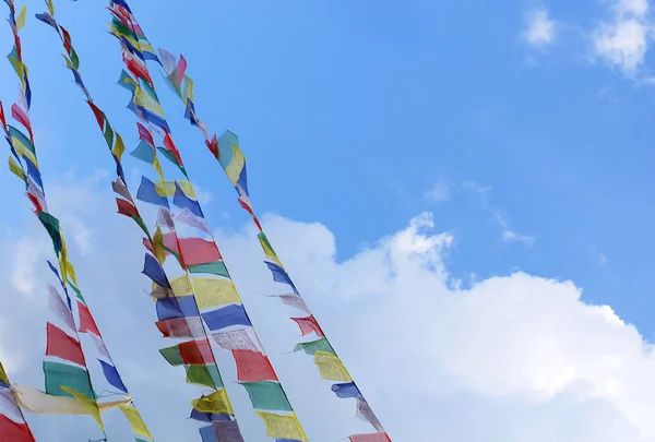 康斯坦丁的菩提树 蓝天背景下挂着祈祷旗 — 图库照片