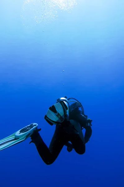 Jovem Mar Azul — Fotografia de Stock