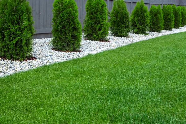 Hinterhof Mit Frischem Grünen Gras — Stockfoto