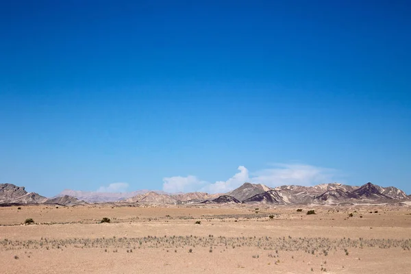 Scenic View Dunes Selective Focus — Stock Photo, Image