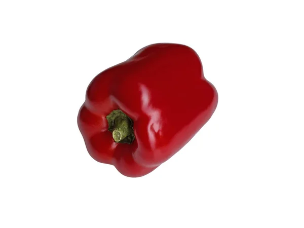 Červená Paprika Izolované Bílém Pozadí — Stock fotografie