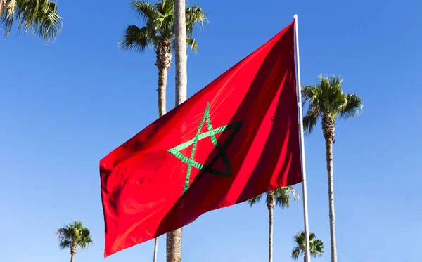 Red Moroccan Flag Flying Amonst Palm Trees Bright Blue Sky — Stock Photo, Image