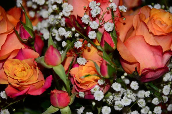 Flores Diferentes Foco Seletivo — Fotografia de Stock