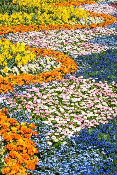 Wunderschöner Garten Mit Einem Blühenden Blumenbeet — Stockfoto