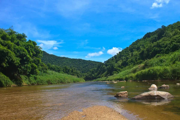 Fiume Foresta Profonda Fiume Foresta Sempreverde Thailandia — Foto Stock