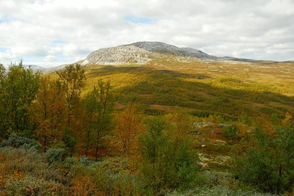 Norwegia Tle Krajobrazu — Zdjęcie stockowe