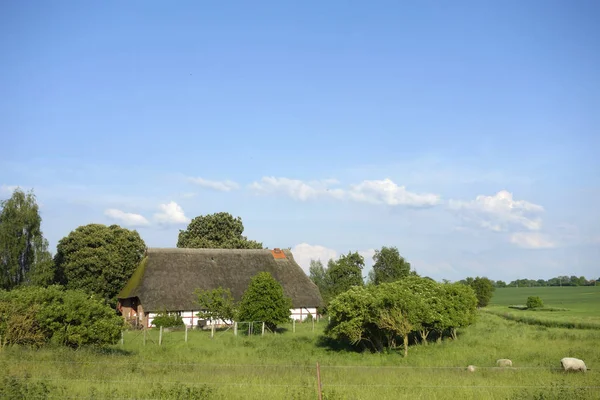 Mecklenburg Vorpommern Deki Çiftlik Evi — Stok fotoğraf