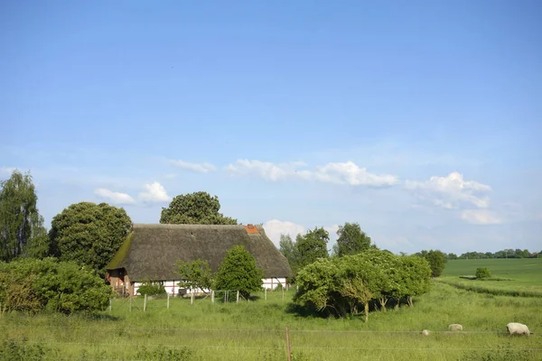 Tanyasi Ház Mekklenburg Vorpommern — Stock Fotó