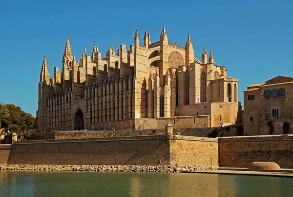 Kathedrale Von Palma Mallorca Spanien Cathedral Palma Mallorca Spain — Stock Photo, Image