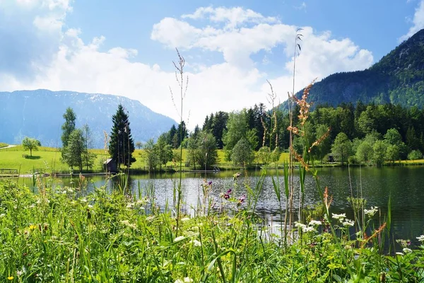 Vista Panorâmica Bela Paisagem Alpes — Fotografia de Stock