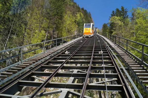 Landsliv Selektivt Fokus — Stockfoto