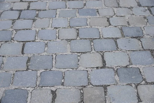 ミュンヘンの舗装石 ババリア — ストック写真