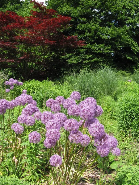 Primavera Parque — Foto de Stock