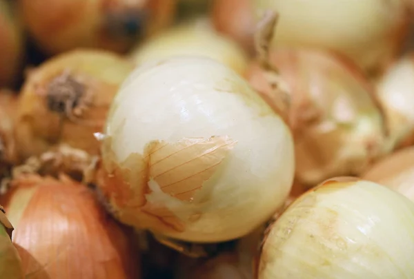 玉ねぎは自然おいしい食べ物をクローズアップ撮影 — ストック写真