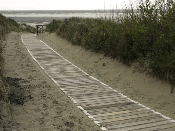 Vue Panoramique Des Dunes Mise Point Sélective — Photo