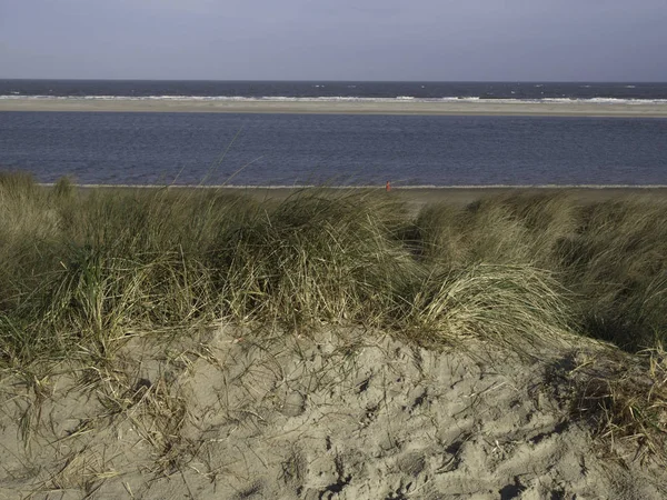 Vue Panoramique Des Dunes Mise Point Sélective — Photo