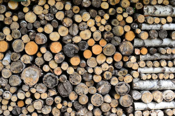 Sekané Dřevo Podpal Dřevěný Materiál — Stock fotografie