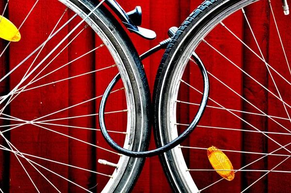 Bisikletli — Stok fotoğraf