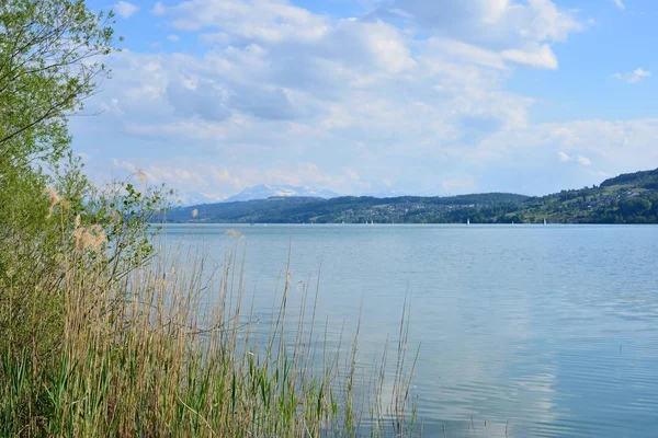 Vista Para Lago Hallwil Alpes Suíça — Fotografia de Stock