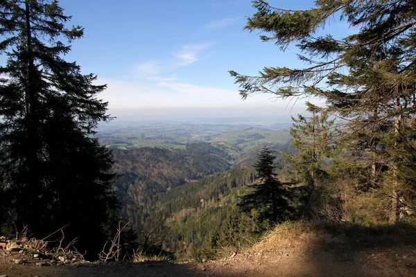 Luzern Een Compacte Stad Zwitserland Bekend Zijn Bewaard Gebleven Middeleeuwse — Stockfoto