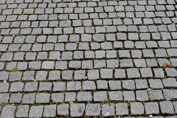 Pavimentação Superfície Pedras Pedra Paralelepípedo — Fotografia de Stock