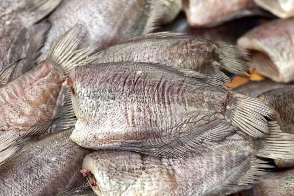 Salted Gourami Fish Background — Stock Photo, Image
