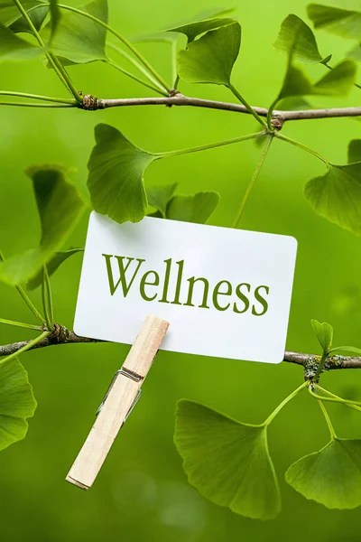 Spa Wellness Aromaterapia — Zdjęcie stockowe