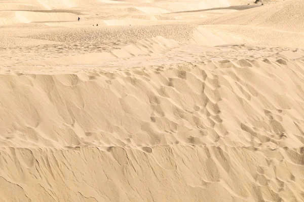 アフリカ系ヨーロッパ人 グラン カナリア島の砂丘砂漠の風景スペイン — ストック写真