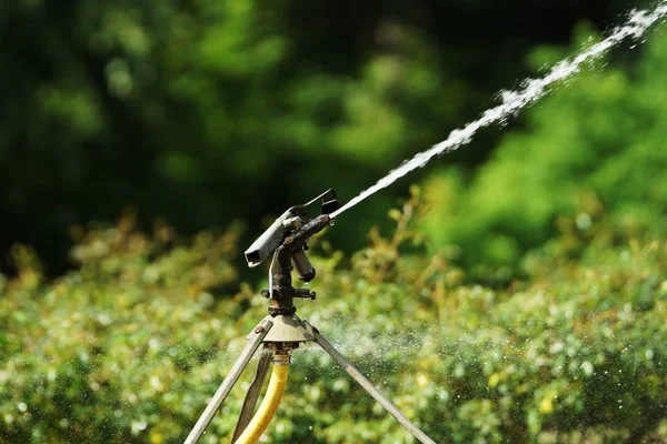 Angelrute Auf Dem Feld — Stockfoto