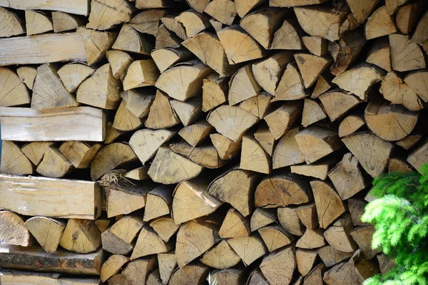 Rąbane Drewno Opałowe Materiał Drewniany — Zdjęcie stockowe
