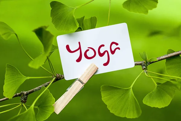 Yoga Livsstil Hälsovård — Stockfoto