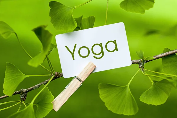 Yoga Estilo Vida Atención Médica — Foto de Stock