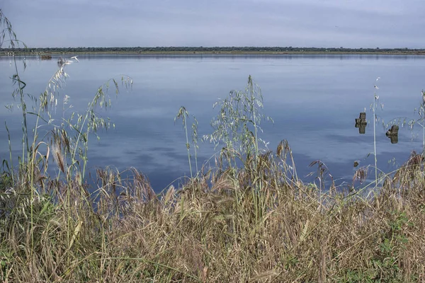 Impianti Sulla Laguna Salmastra Pialassa Della Baiona Vicino Marina Romea — Foto Stock