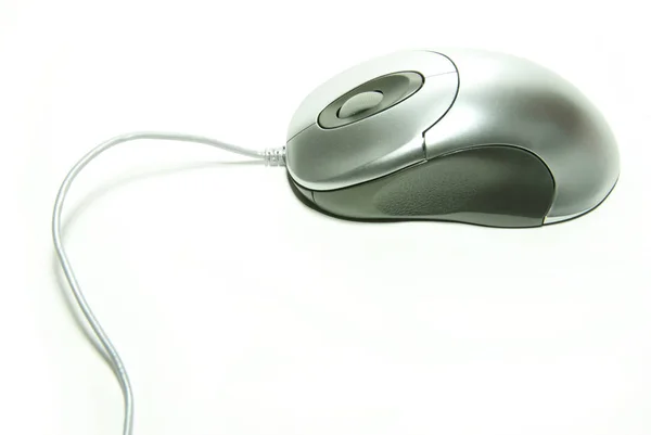 Počítačová Myš Izolovaná Bílém Pozadí — Stock fotografie