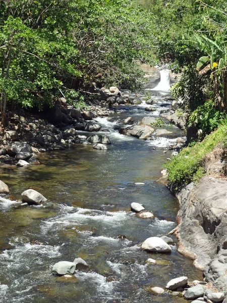Yaz Yeşil Cennet Ülkesinde Kosta Rika — Stok fotoğraf