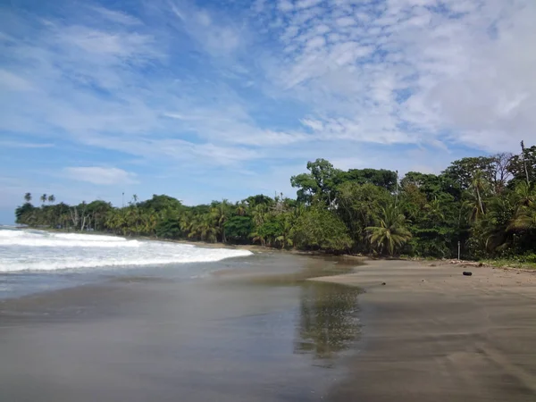 Verano Verde Paraíso País Costa Rica — Foto de Stock