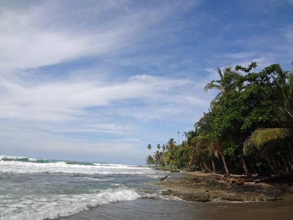 Été Paradis Vert Pays Costa Rica — Photo