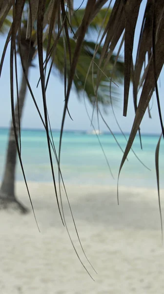 Vacker Utsikt Över Stranden — Stockfoto