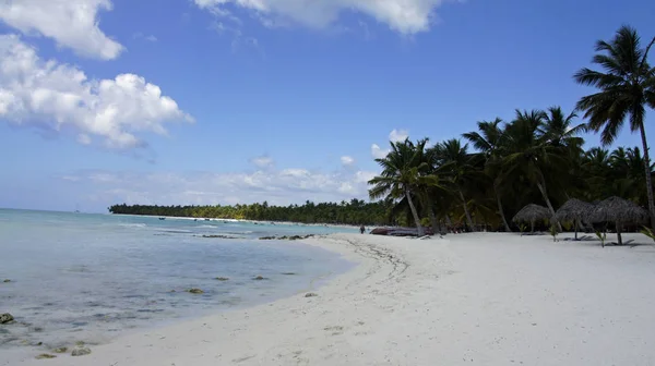 Vackert Tropiskt Strandlandskap — Stockfoto